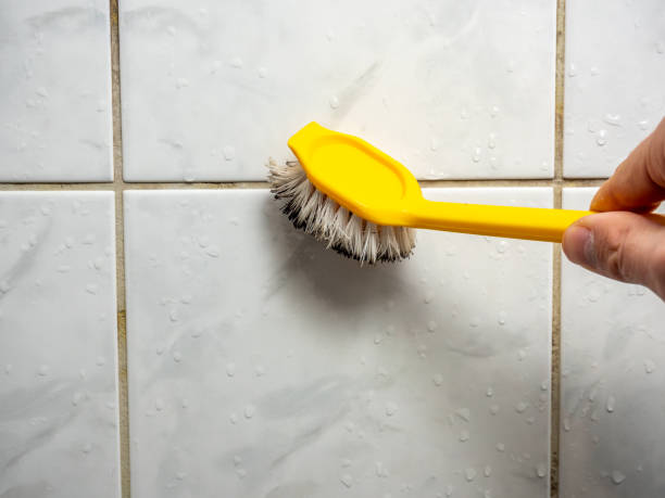 Best Mold Damage Repair  in Fillmore, CA
