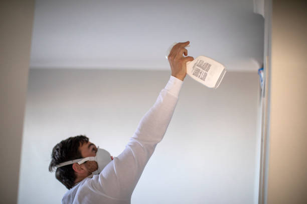Best Mold Removal and Inspection  in Fillmore, CA