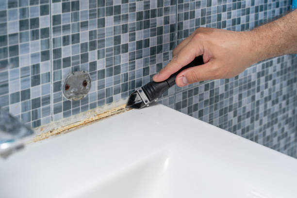 Best Attic Mold Removal  in Fillmore, CA